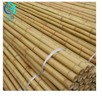 cerca de bambu com moldura de madeira barata